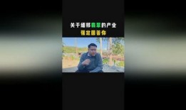 焦家金矿爆料视频大全,揭秘矿场内幕与真实情况