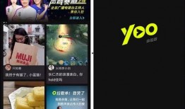 视频爆料规则最新版是什么,全面了解内容规范与责任