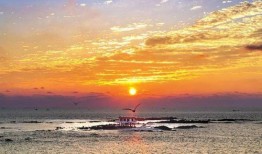 秋日天空在线观看,云端漫步，尽享金秋美景